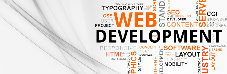 Best website Development Company in Pune